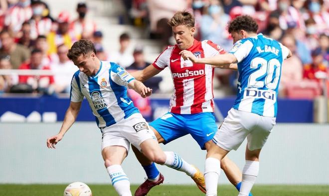 球队需要 球队需要