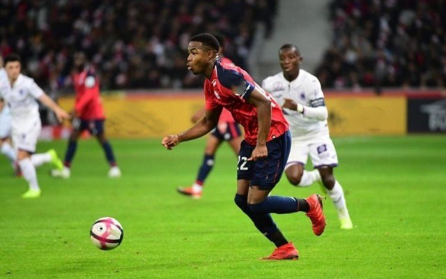 能力自然生 能力自然生